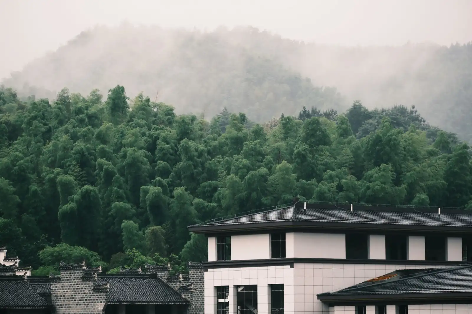 广西聚拼科技社区电商平台运营服务能力解析