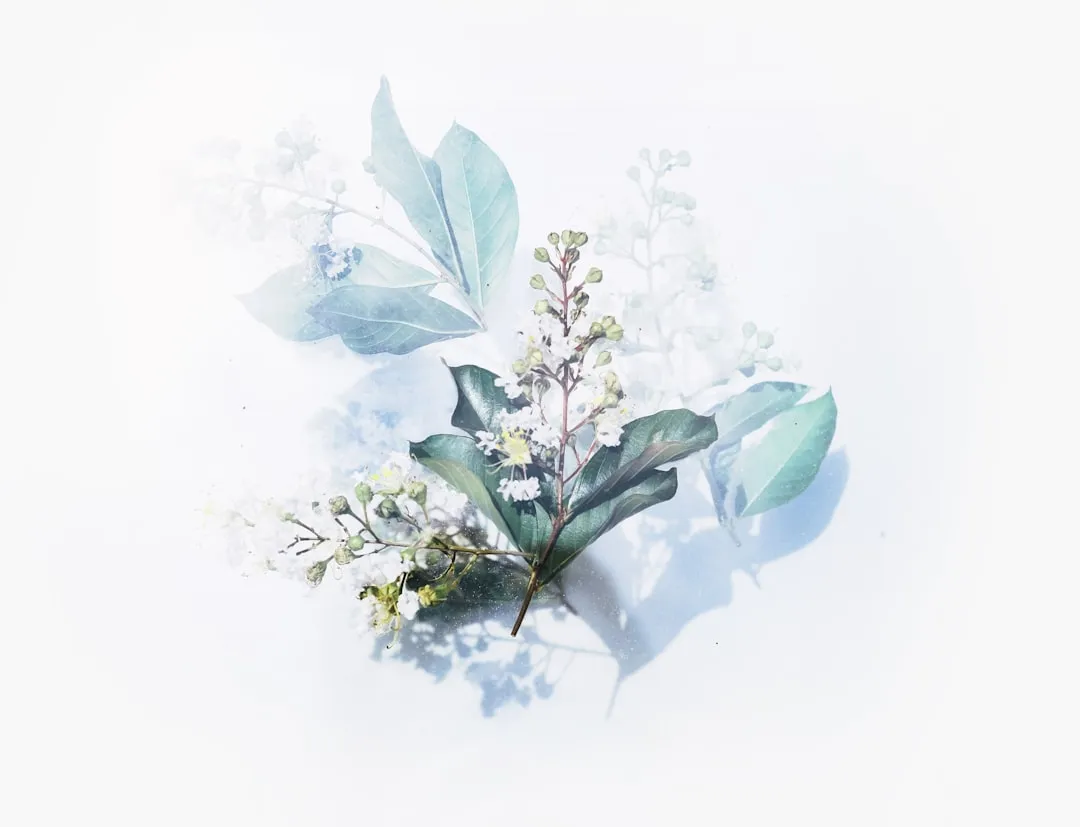 聚拼科技智慧生活服务在社区生鲜配送中的应用实践