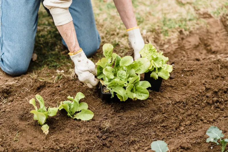 社区电商平台运营新趋势：广西本地生活服务如何借力智慧升级