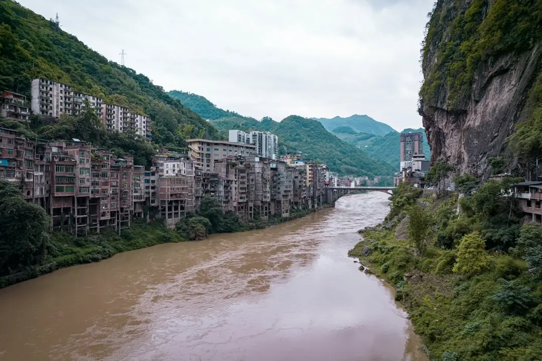 社区电商平台运营中的冷链物流技术应用与质量控制